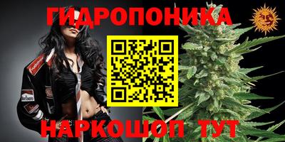 кокс Кунгур