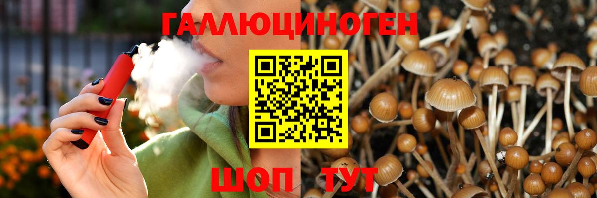 где продают наркотики  Галлюциногенные грибы GOLDEN TEACHER  Галлюциногенные грибы прущие грибы  Вход с VPN  Заводоуковск 
