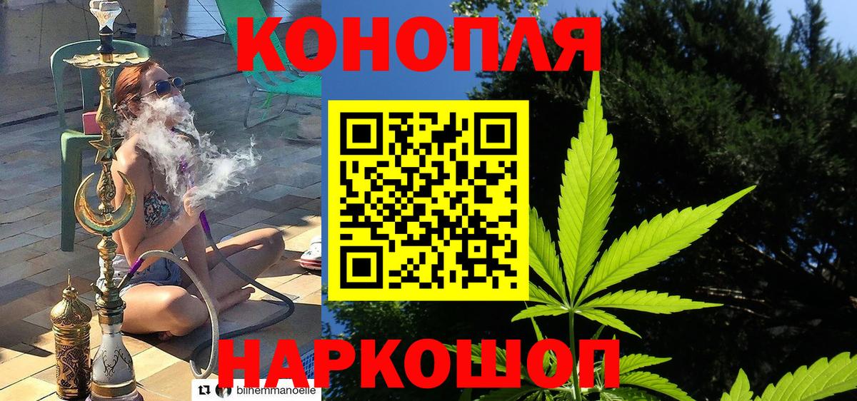 Каннабис планчик Заводоуковск